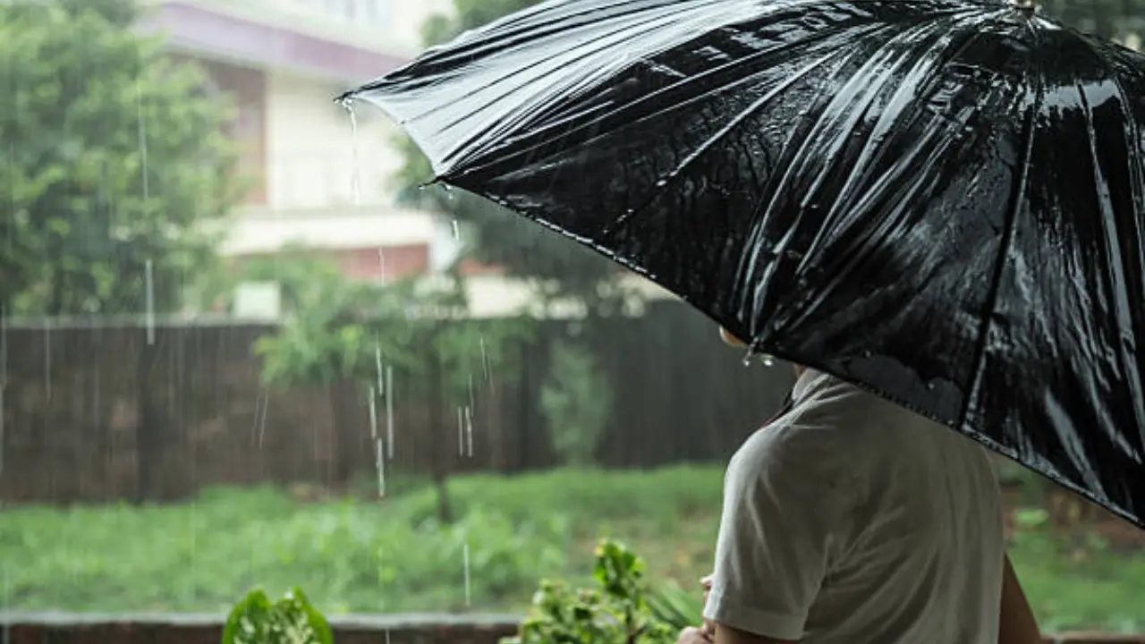 Mausam Samachar 25 March जानिए मध्य प्रदेश में आज का मौसम कैसा रहने वाला है बारिश का अलर्ट जारी Mausam Samachar 25 March : जानिए मध्य प्रदेश में आज का मौसम कैसा रहने वाला है ? बारिश का अलर्ट जारी Mausam Samachar 25 March : जानिए मध्य प्रदेश में आज का मौसम कैसा रहने वाला है ? बारिश का अलर्ट जारी
