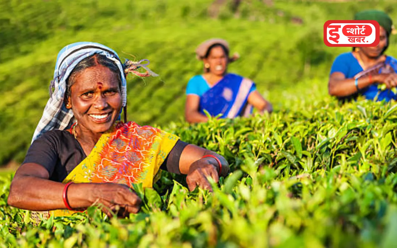 BUSINESS IDEA 1 37 Business Ideas For Villager: गांव में सबसे ज्यादा चलने वाला बिजनेस कौन सा है ? Business Ideas For Villager: गांव में सबसे ज्यादा चलने वाला बिजनेस कौन सा है ?