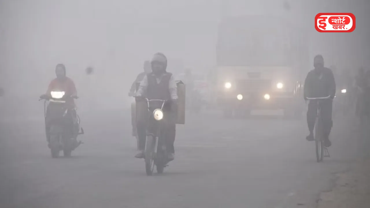 MP Weather: तापमान गिरावट से बढ़ेगी ठंड, पचमढ़ी रहा सबसे ठंडा और 'मिधिली' तूफान ने दिखाया अपना असर ।‌