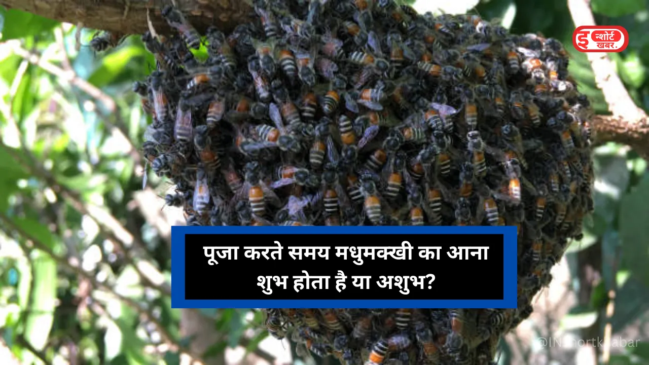 पूजा करते समय मधुमक्खी का आना शुभ होता है या अशुभ ‌? जाने शास्त्र क्या कहता है ?