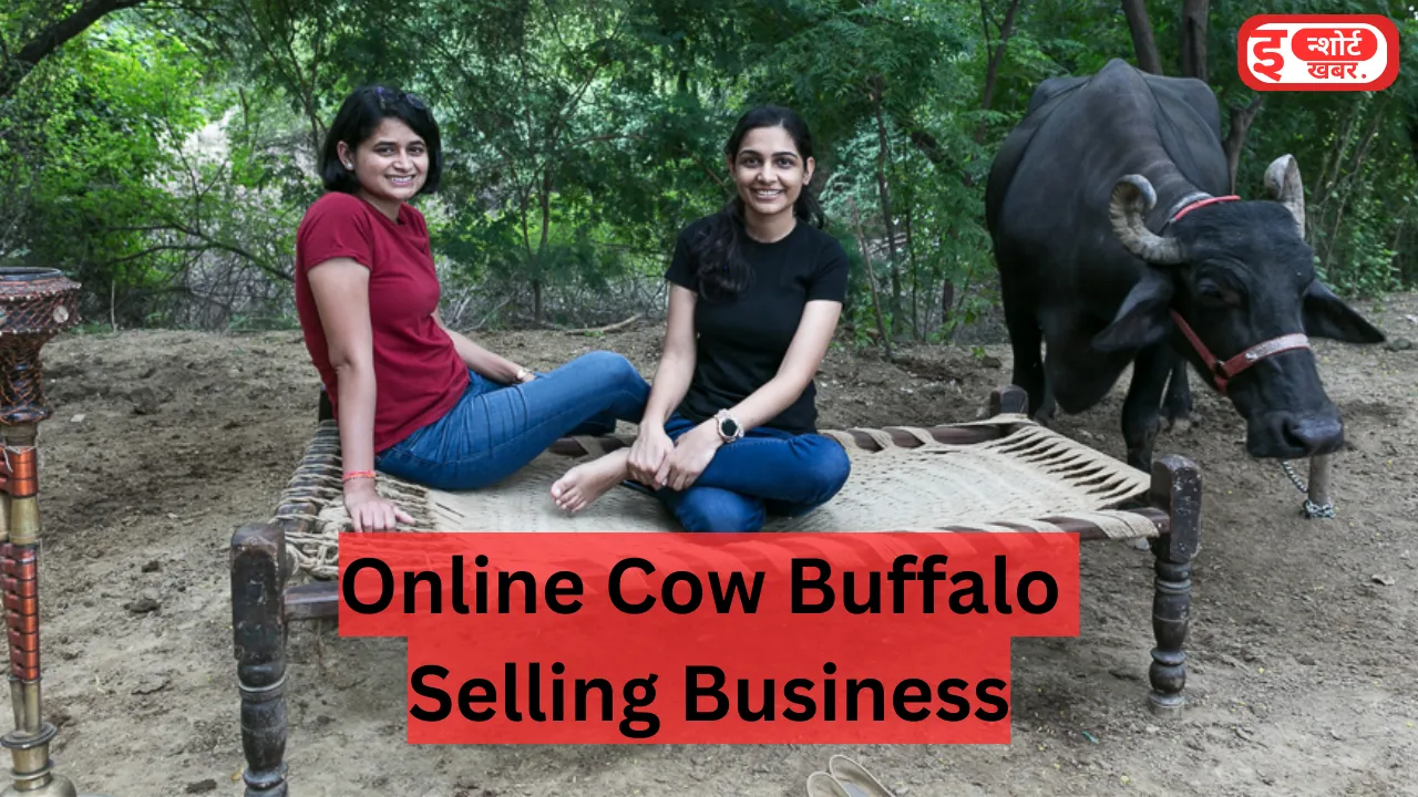 Add a heading 1 1 8 Online Cow Buffalo Selling Business: गांव में रहकर ऑनलाइन करें शुरू, एक डील की मिलेंगे 1 लाख से ज्यादा Online Cow Buffalo Selling Business