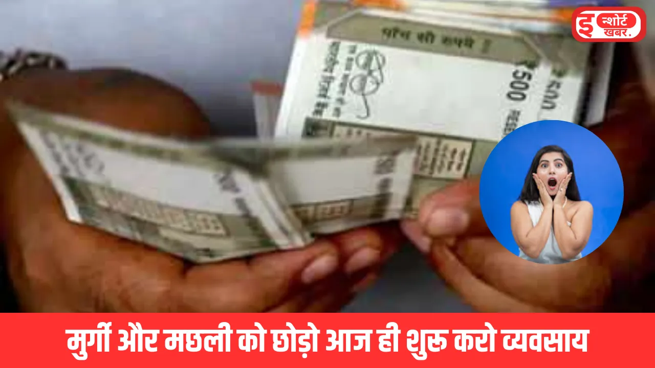 Duck Farming Business Idea