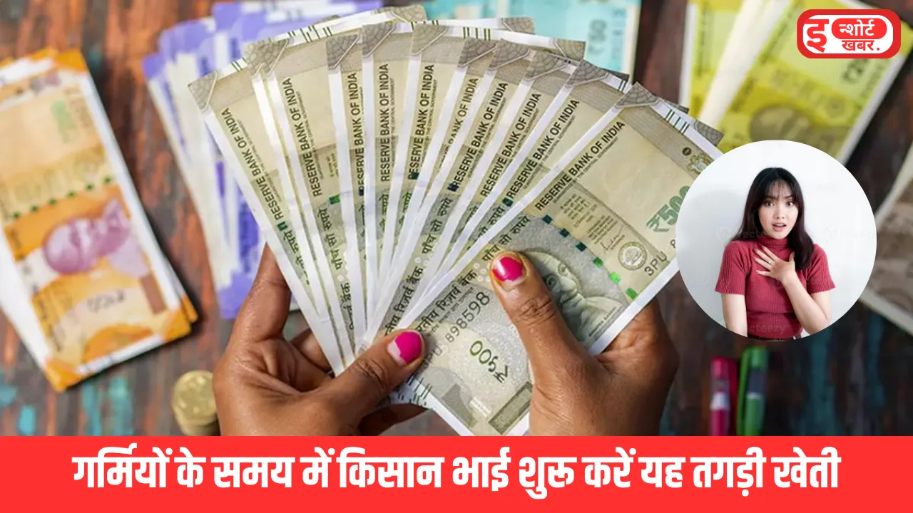 Mashroom Cultivation Business Idea For Farmers Business Idea: मशरूम की खेती करके हो जाएंगे मालामाल, तगड़ी डिमांड वाला है बिजनेस Mashroom Cultivation Business Idea For Farmers