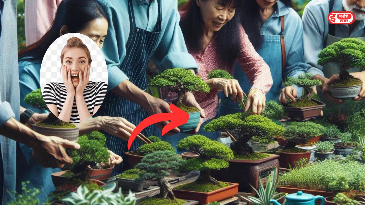 Business Idea Bonsai Plant Farming